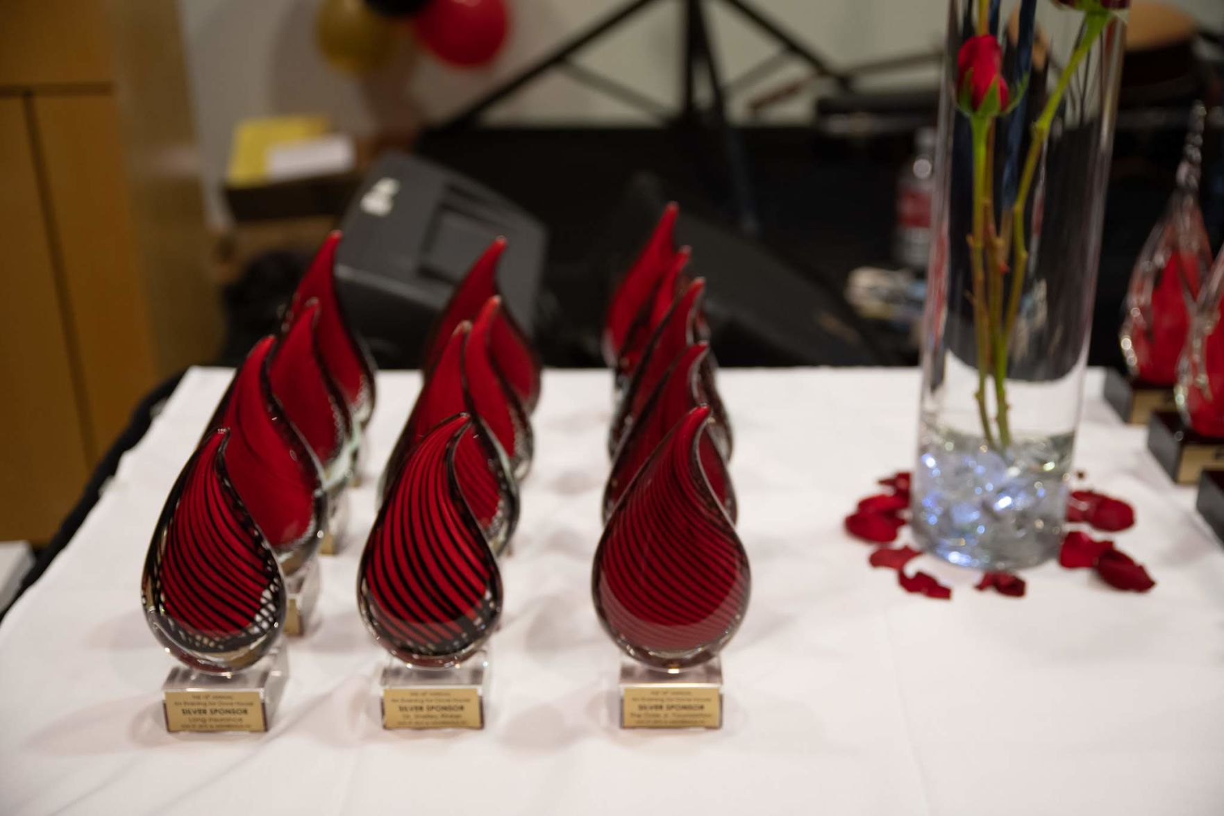 Evening for Dove House 2019 (21).jpg